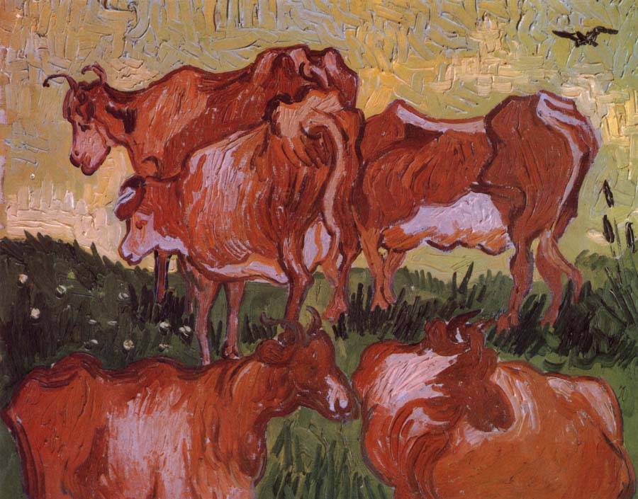 Cows (nn04)